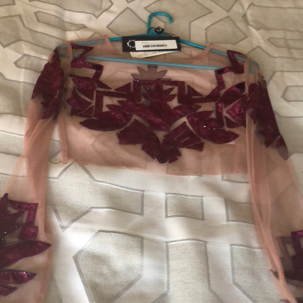 Love of lemon sheer top w velvet